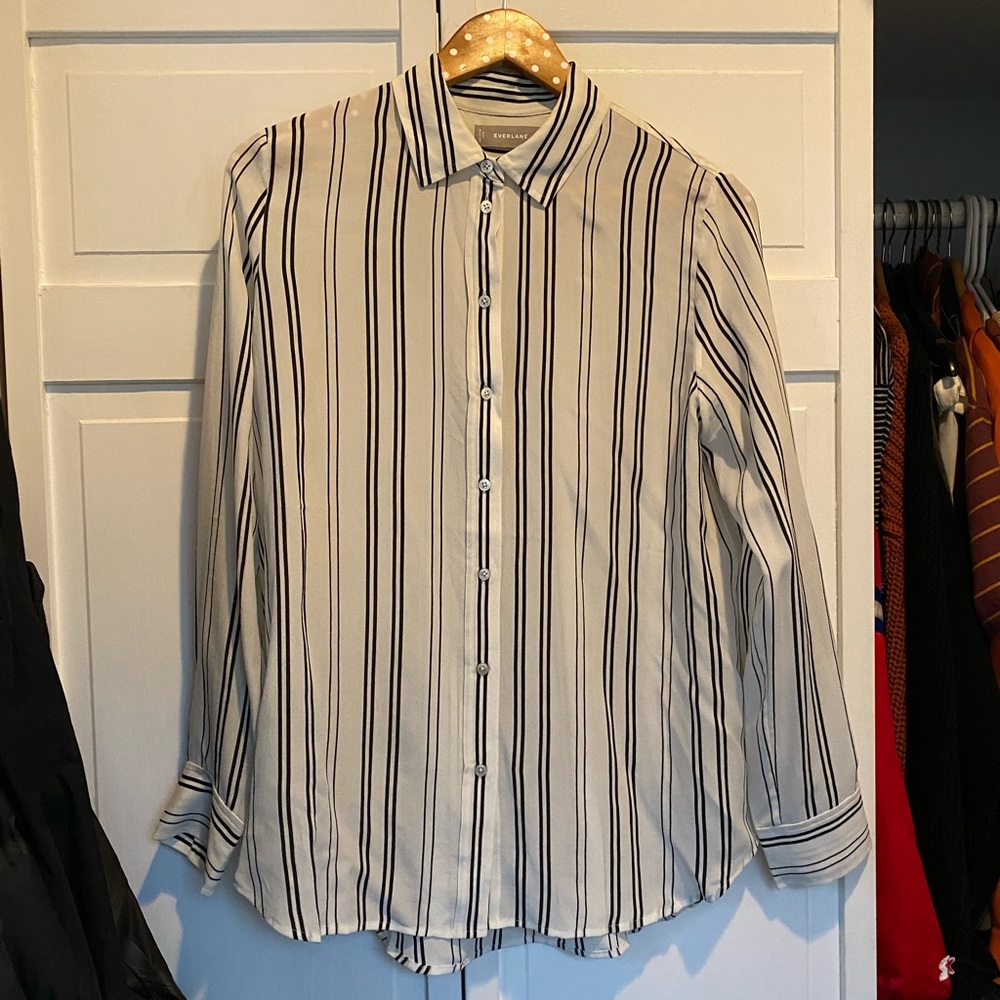 Everlane Stripe Silk Button Down